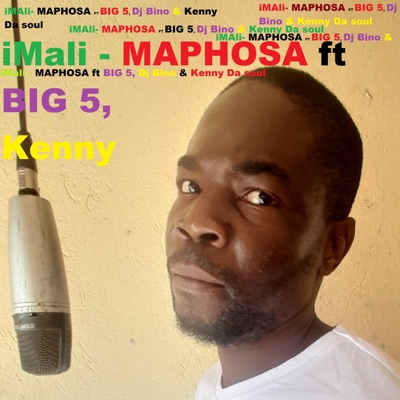 iMali (feat. Maphosa, Big 5, Dj Bino & Kenny Da soul) [Radio Edit] [Radio Edit] - Single