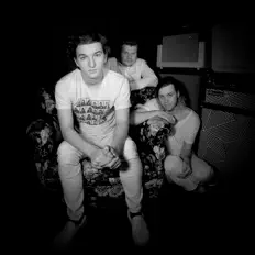 Showtigersを聴いたり、ミュージックビデオを鑑賞したり、経歴やツアー日程などを確認したりしましょう！