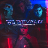 Se Revelo (Con Basty Corvalan) - Single - Young Nico