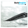 Flying Bird - Boris Brejcha