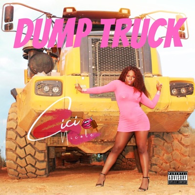 Dump Truck - Single