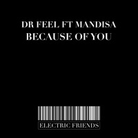 Because of You - Single - Mandisa & Dr. Feel