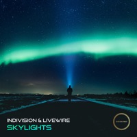 Skylights - Single - Indivision & Livewire