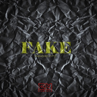 Fake - Single