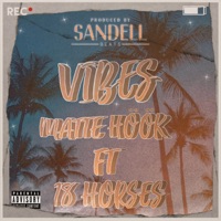 Vibes (feat. 18 Horses & Sandell Beats) - Single - Matte Höök