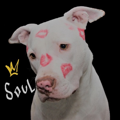 Soul (feat. Shao) - Single