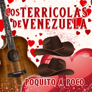 Poquito a Poco - Single