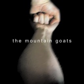 This Year by The Mountain Goats