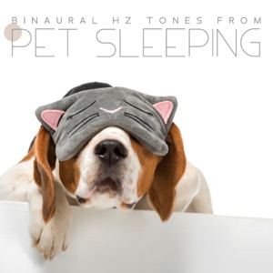Binaural Hz Tones from Pet Sleeping: Calm Music Therapy Sleep Lullabies for Dogs and Cats, Sleep Music for Animals and Pets