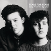 Tears for Fears - Shout kunstwerk