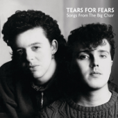 Everybody Wants to Rule the World - Tears for Fears Cover Art