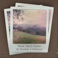 Voce dell'alba (feat. Vaporsad) - Single - Dr. Vintage