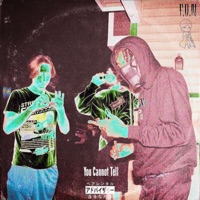 Cannot Tell (F.O.N Halloween Special) (feat. Tiger, Donny2g & Blem Beatz) - Single - Shmoke11