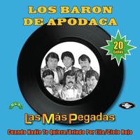 Los Barón de Apodaca - Cuando Nadie Te Quiera