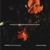 Esperanza Spalding - Formwela 6 (feat. Corey King)