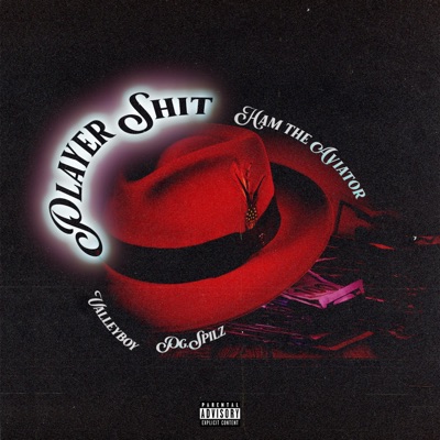 Player Shit (feat. Valleyboy & Pg.Spilz) - Single