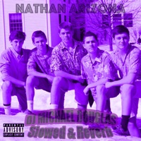 Shorts In the Winter (Slowed + Reverb) - DJ Michael Douglas & Nathan Arizona