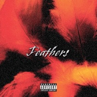 Feathers - Single - Rob $tone