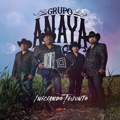 Grupo Anaya - Tonta