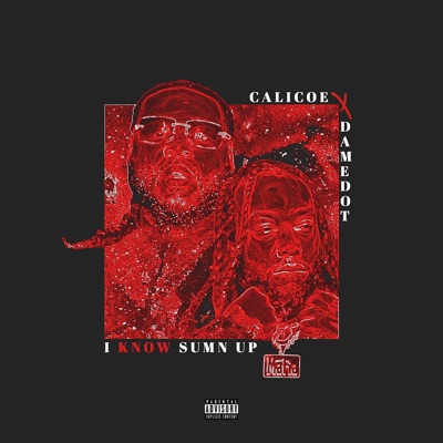I know sumn up (feat. Dame Dot) - Single