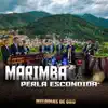 MARIMBA PERLA ESCONDIDA - En Cuilco Me Enamoré