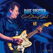 Six String Soul: 30 Years on Delmark - Dave Specter
