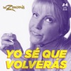 Yo Sé Que Volverás - Single