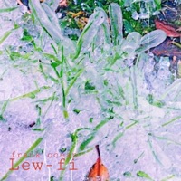 Album cover for Frank Ocean by Lew-Fi