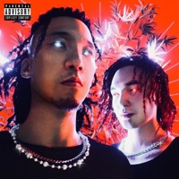 Ginseng (feat. Narchywolf & yb) - Single - Straight Fire Gang & Feezy