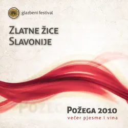 https://is1-ssl.mzstatic.com/image/thumb/Music125/v4/3d/dd/fc/3dddfc34-74d0-583a-8808-e8228ae3dedf/Poz_ega_2010_VPIV_1400x1400.jpg