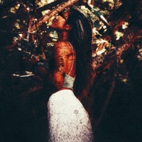 always been you (feat. J.$pirit) - Single - Aryan Kumar