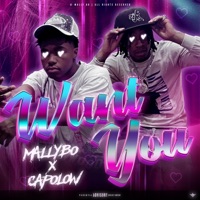 Want You (feat. Capolow) - Single - Mally Bo