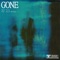 Gone (feat. Austin Skinner) - Yours Truly lyrics
