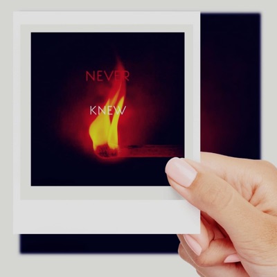 Never Knew - Single