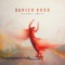 Stoney Creek - Xavier Rudd lyrics