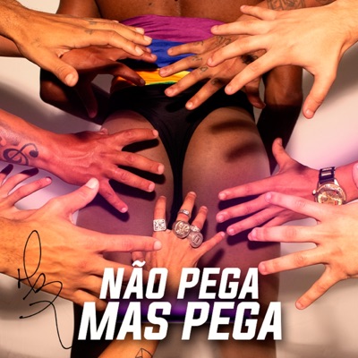 Não Pega, Mas Pega (feat. Kn Beat & Tiago Dyas) - Single