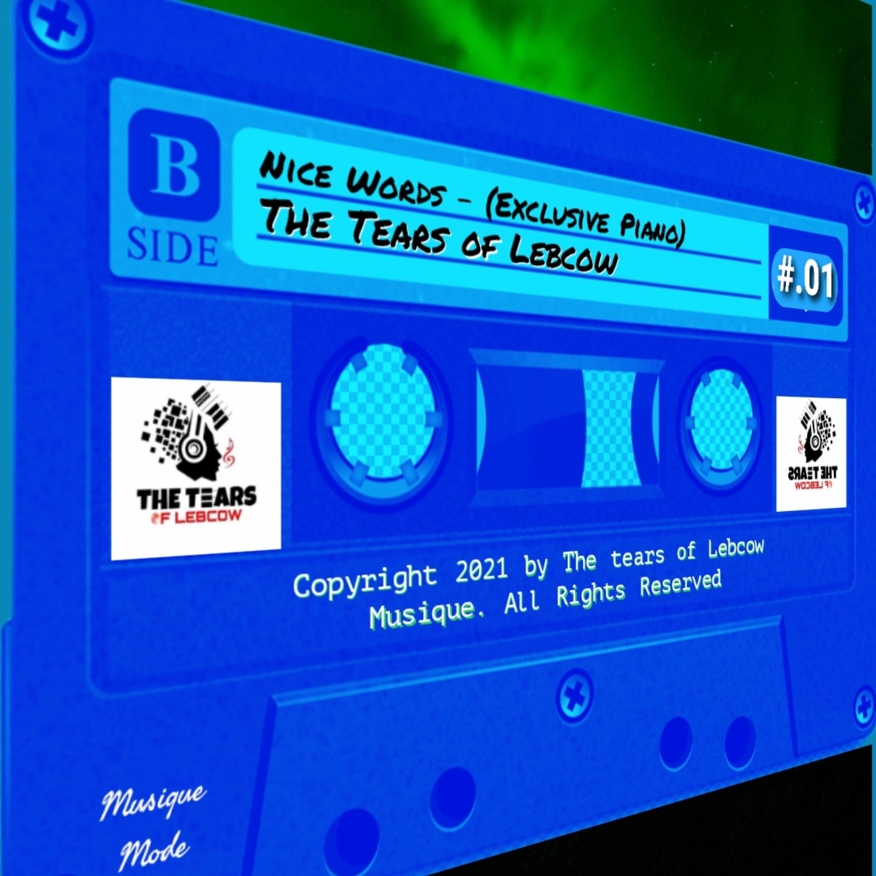 Nice Words (Exclusive Piano) - Single by The tears of lebcow album cover