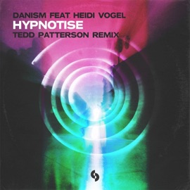 Hypnotise (feat. Heidi Vogel) [Tedd Patterson Extended Remix] Danism
