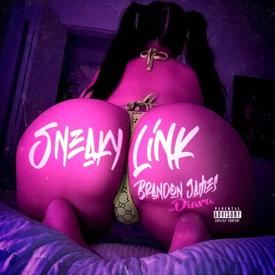 Sneaky Link (feat. Diara) - Single