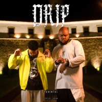 Drip (feat. Zuluzão) - Single - Vinnygang071 & Estrelaa
