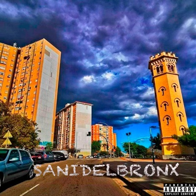 Sanidelbronx (feat. Don Pablo) - Single