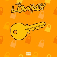 Lowkey - Single - Cry