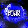 Stream & download 001 Tribo do Funk (feat. DJ Vavat, Mc Code, Mc Nandinho, Mc Gw, Mc Flavinho & Mc Dezoitinho) - Single