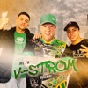 V-Strom - Single