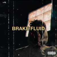 Brake Fluid - Single - Colin