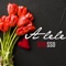 Alele - Mbosso lyrics
