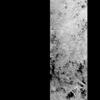 Withered - Single - Samba