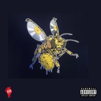 Killer Bees Freestyle - Single - Rome Mallory
