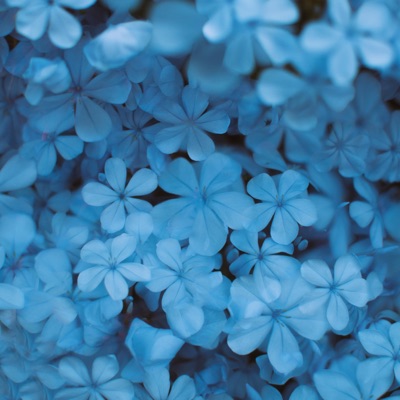 Closer (feat. Asir) - Single