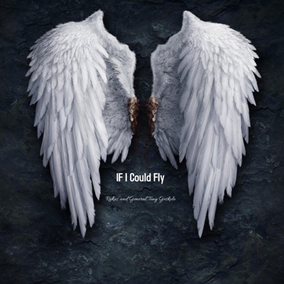 If I could Fly (feat. Rukus) - Single